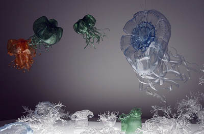 jellyfishdisposablewaterbottles